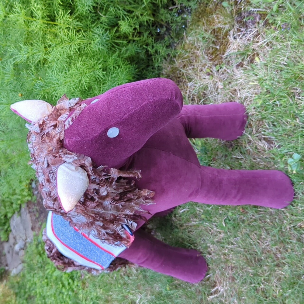 Tawny the pony